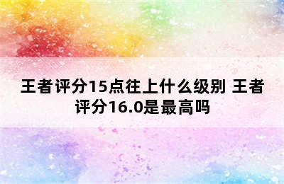 王者评分15点往上什么级别 王者评分16.0是最高吗